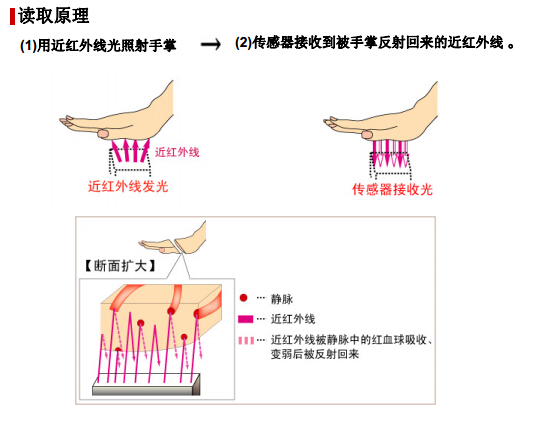 非接觸型手掌靜脈識別技術(shù)解析