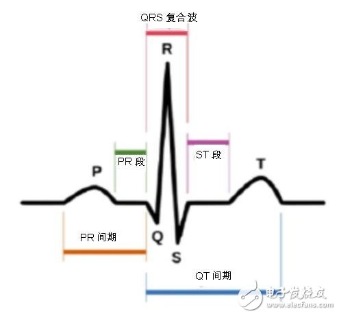 圖一：心電圖中的 P-QRS-T波