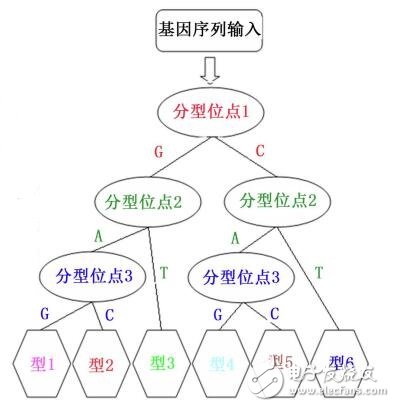 MATLAB編譯生成AUTOLISP代碼實現可變ID3基因分型決策樹分類圖的繪制